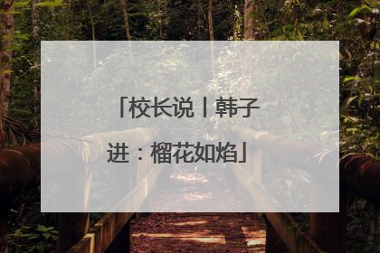 校长说丨韩子进：榴花如焰